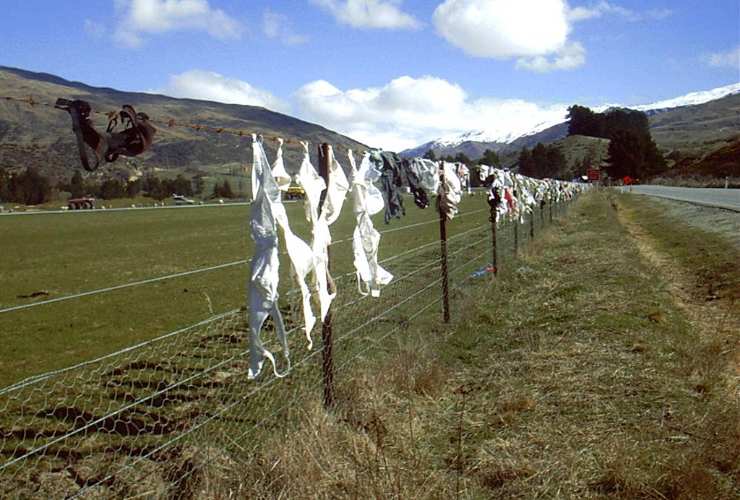 Cardrona Bra Fence