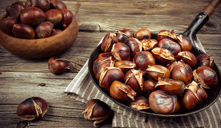 Castagne benefici