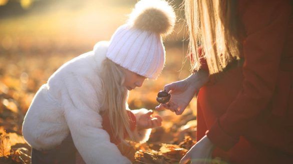 Dove raccogliere le castagne in Italia