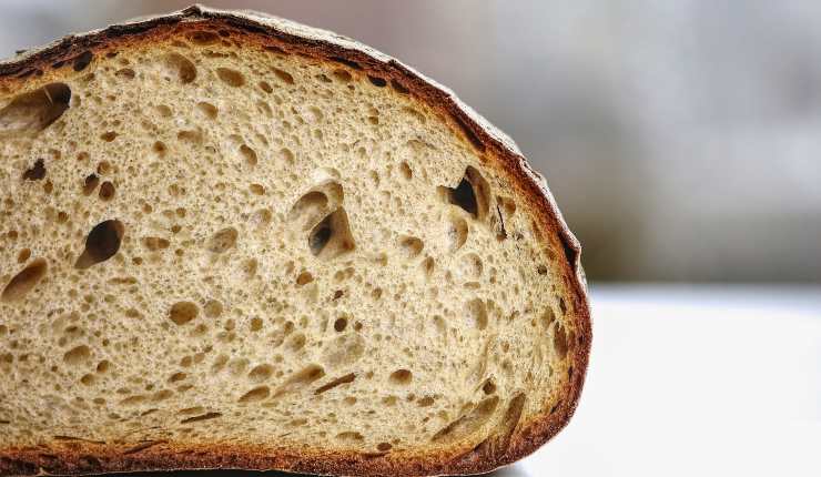 Pane