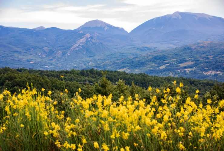 Parco Nazionale del Pollino