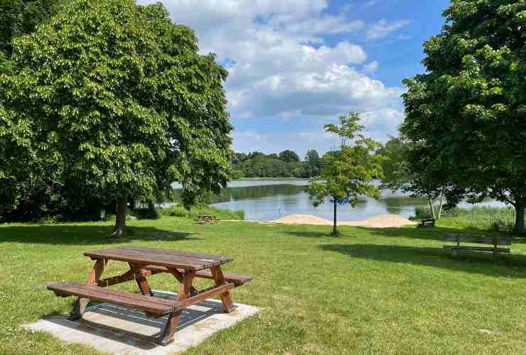 Picnic al lago