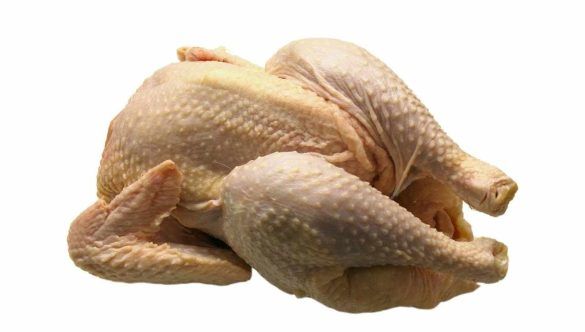 Pollo