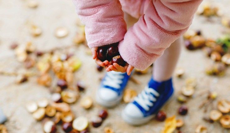 Raccogliere castagne con i bambini