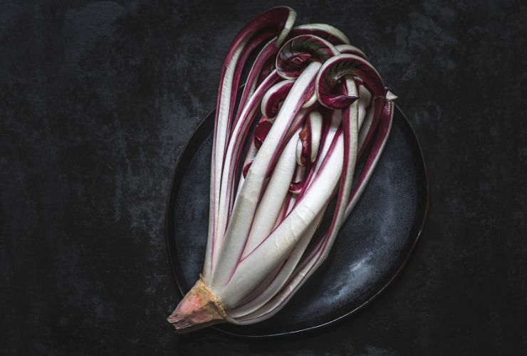 Radicchio di Treviso