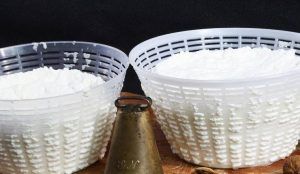 Ricotta