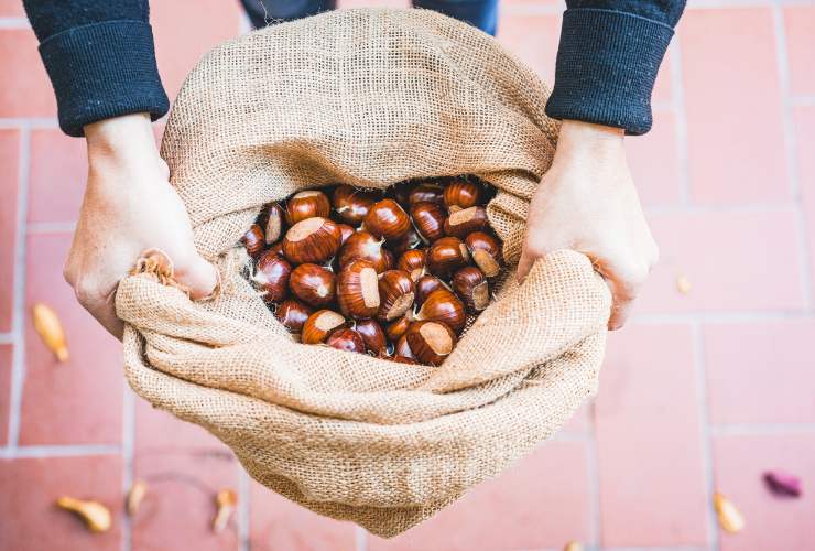 Sacco con castagne