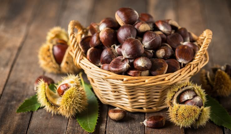 Storia e origini delle castagne