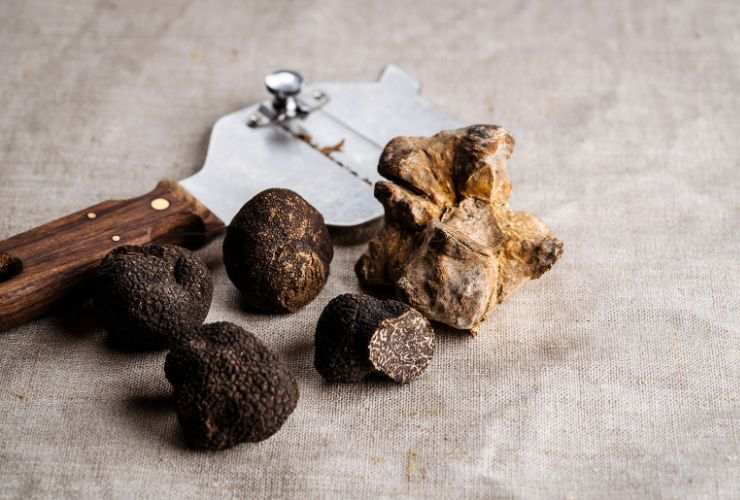 Tartufo nero