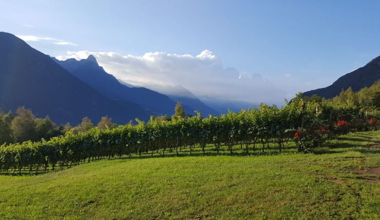 Val Camonica borghi