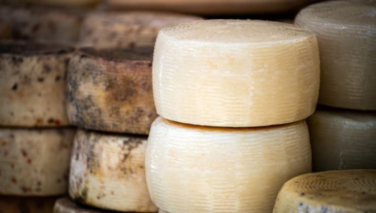 pecorino su scaffali