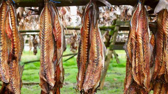 Cucina islandese