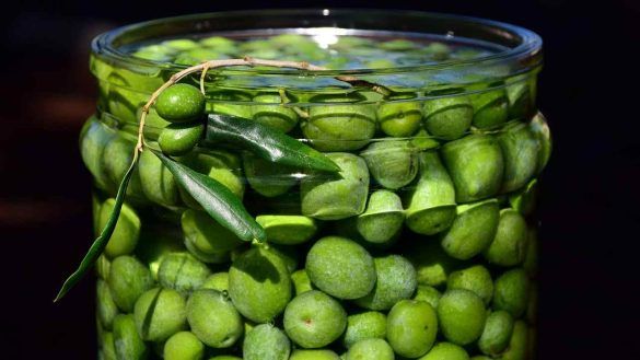 Conservare le olive