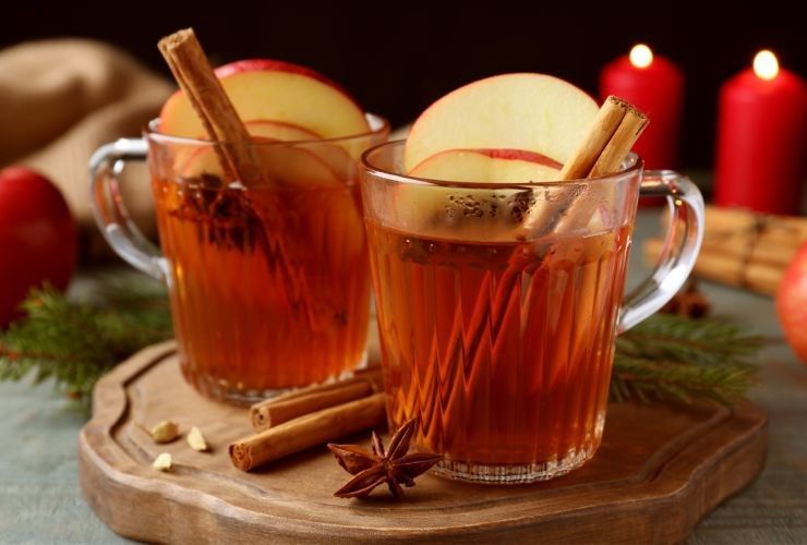 Mulled Cider - Sidro speziato