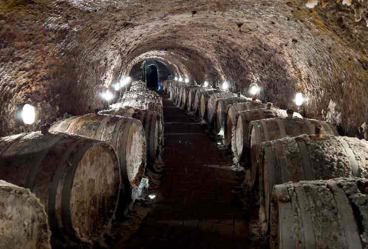 Botti di vino a Tokaj