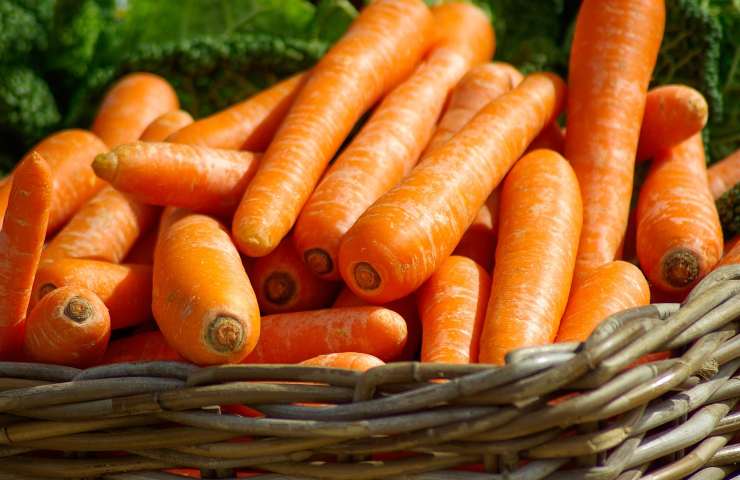 Cesto di carote