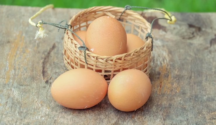 Colazione con uovo e gallina