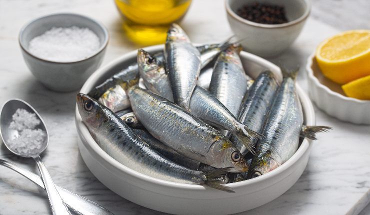 Come cucinare le sardine