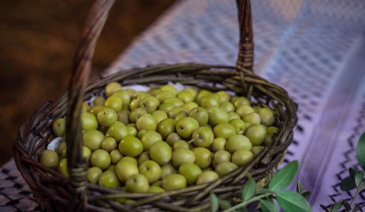 Noccioli d'olive: un bene prezioso