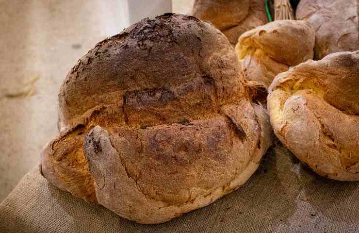 Pane di Altamura