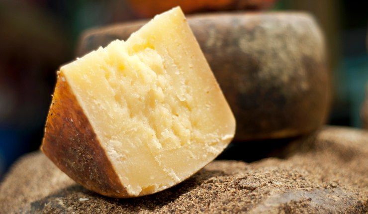 Pecorino