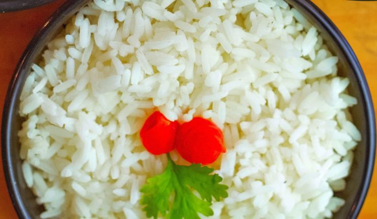 Piatto di riso