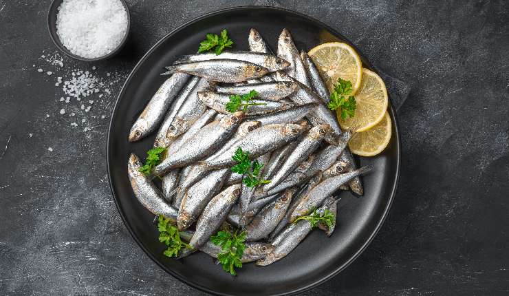 Sardine ricetta