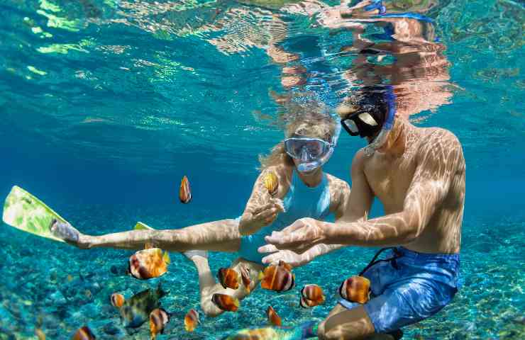 Snorkeling