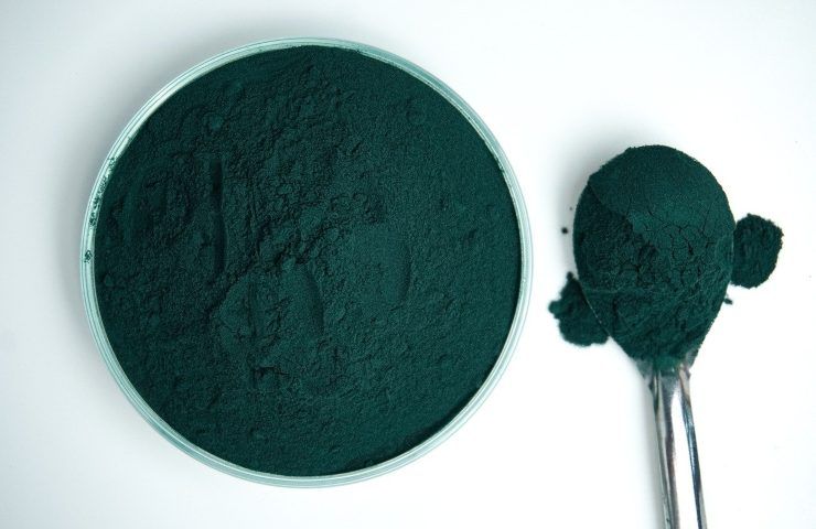 Spirulina in polvere