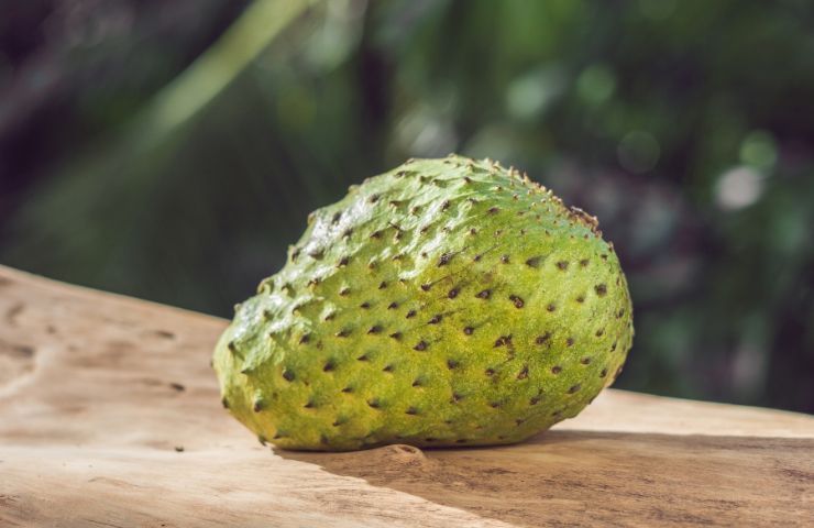 Buccia esterna dell'annona