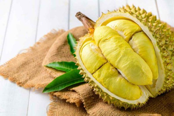 Durian