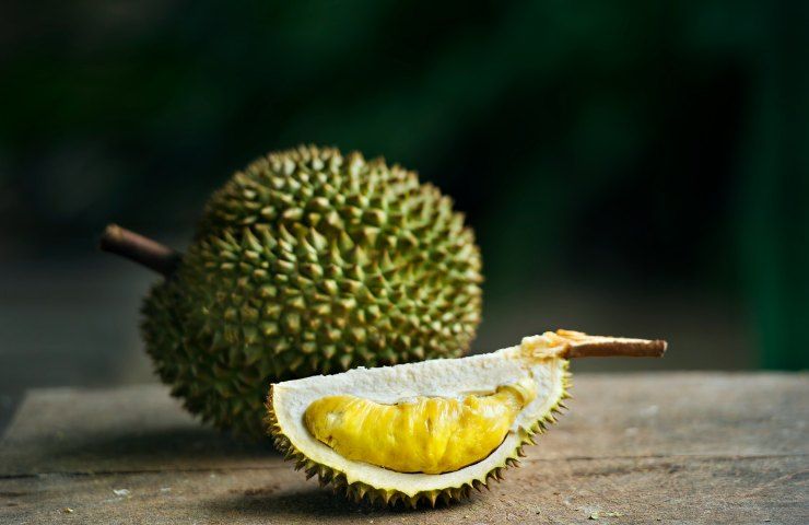 Durian cos'è