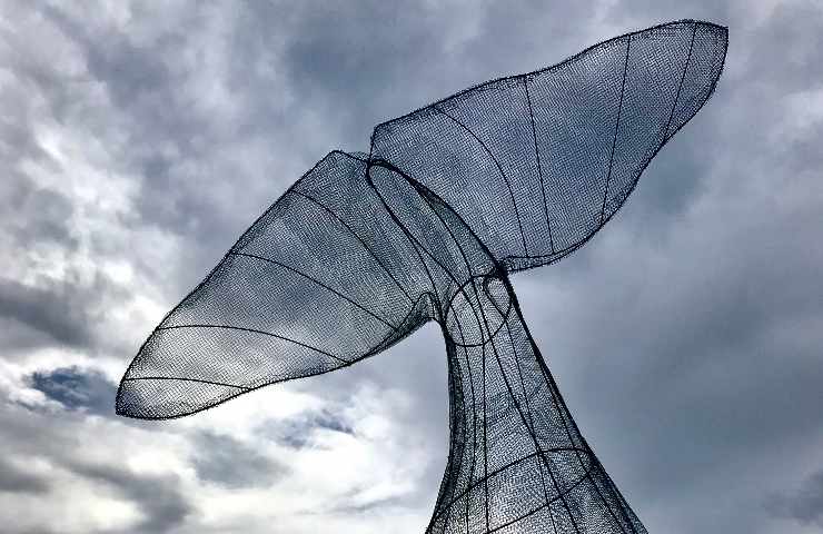 Installazione code di balena a Camogli