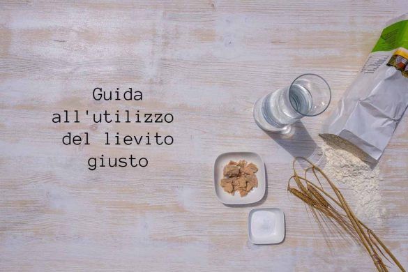 Lievito guida