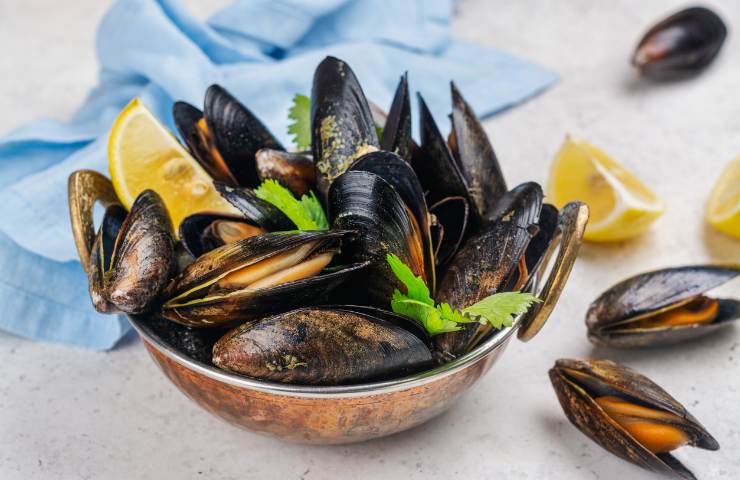 Zuppa di cozze Napoli