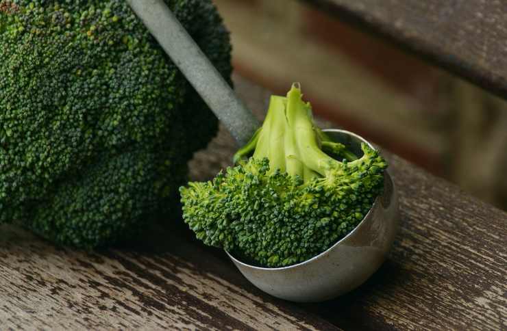 Broccoli