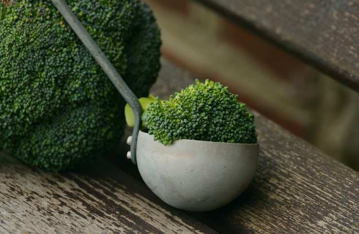 Broccoli