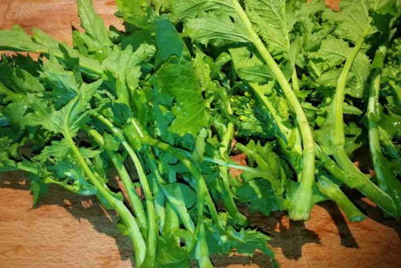 Cime di rapa