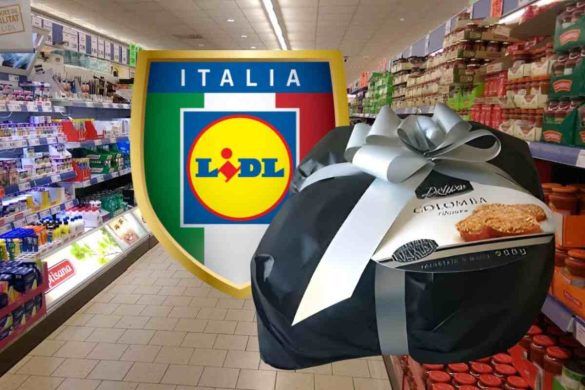 Colomba in vendita all Lidl