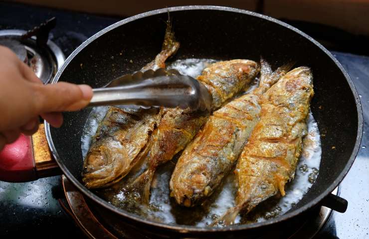 Come cucinare lo sgombro fritto