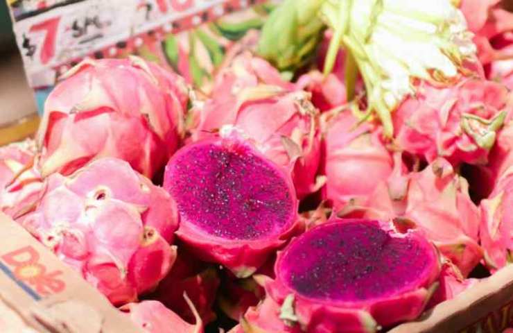 Dragon fruit