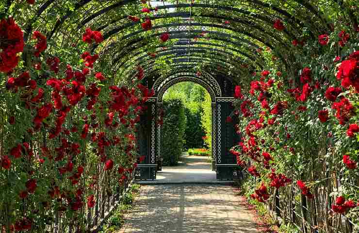 Garden Tourism