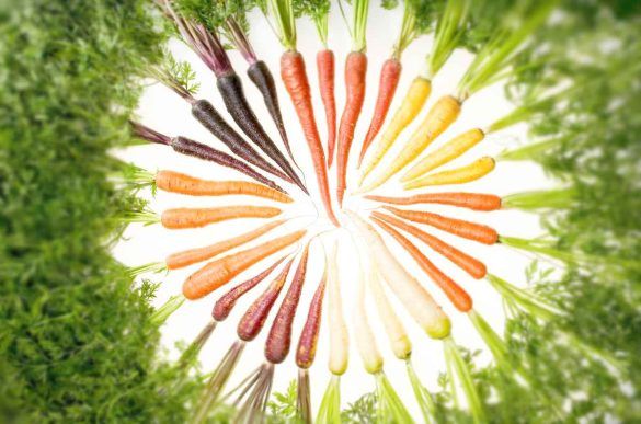 Giornata mondiale della carota