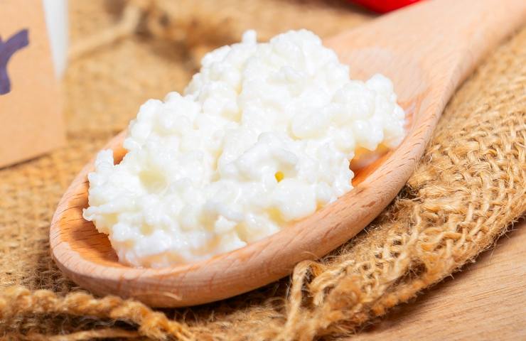 Grani di Kefir