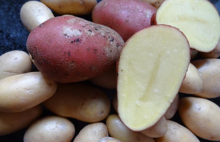 Patate novelle e con buccia rossa