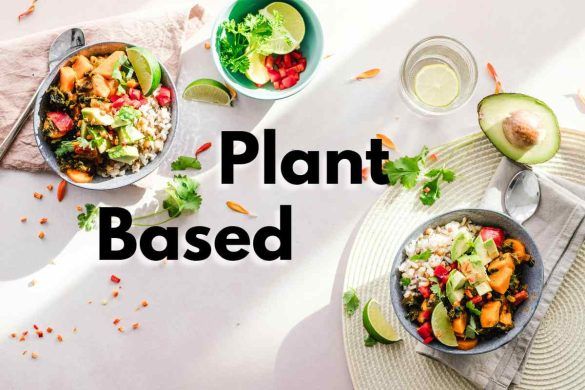 Plant Based