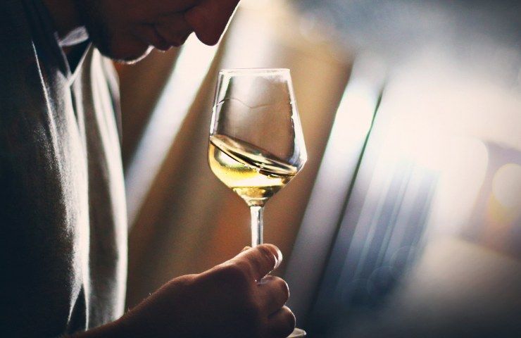 Quali sono i migliori vini Frascati