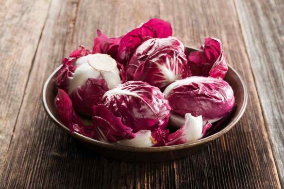 Radicchio rosso