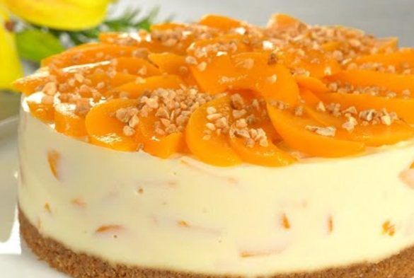 Torta fredda alle albicocche