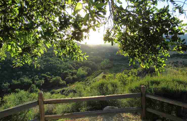 Valle di Ojai - California